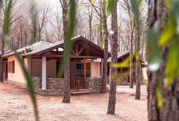 Villaggio Camping Pinetamare Pizzo (Calabria) Exterior foto
