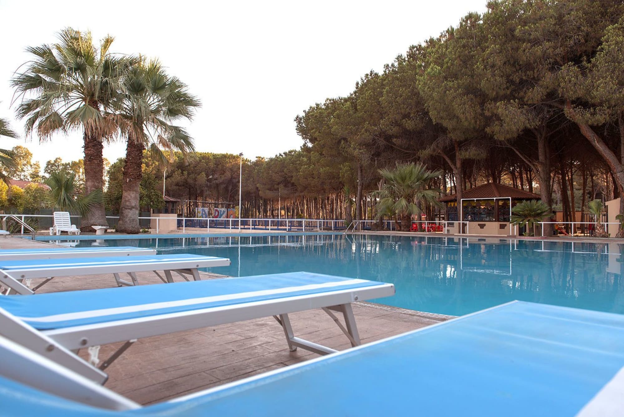 Villaggio Camping Pinetamare Pizzo (Calabria) Exterior foto